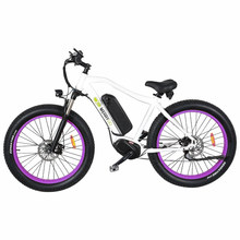 48V 16ah Lithuium Battery Electric Bicycle for Adult Fat Tire Electric Bike